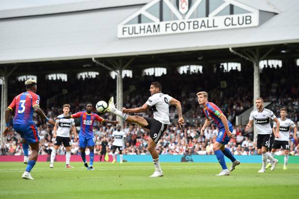 依靠杯赛的 依靠杯赛的